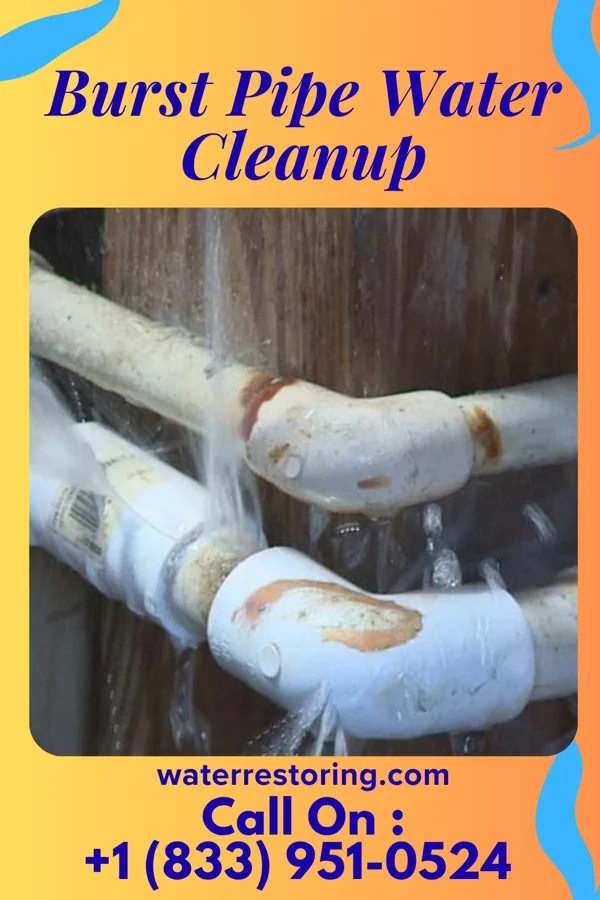 Burst Pipe Water Cleanup in East Camden, AR